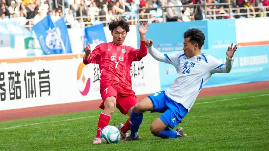 雨燕直播体育免费直播